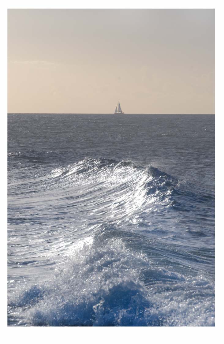Leeward Sail by Artnova Gallery & Salt Studio, Image 1.