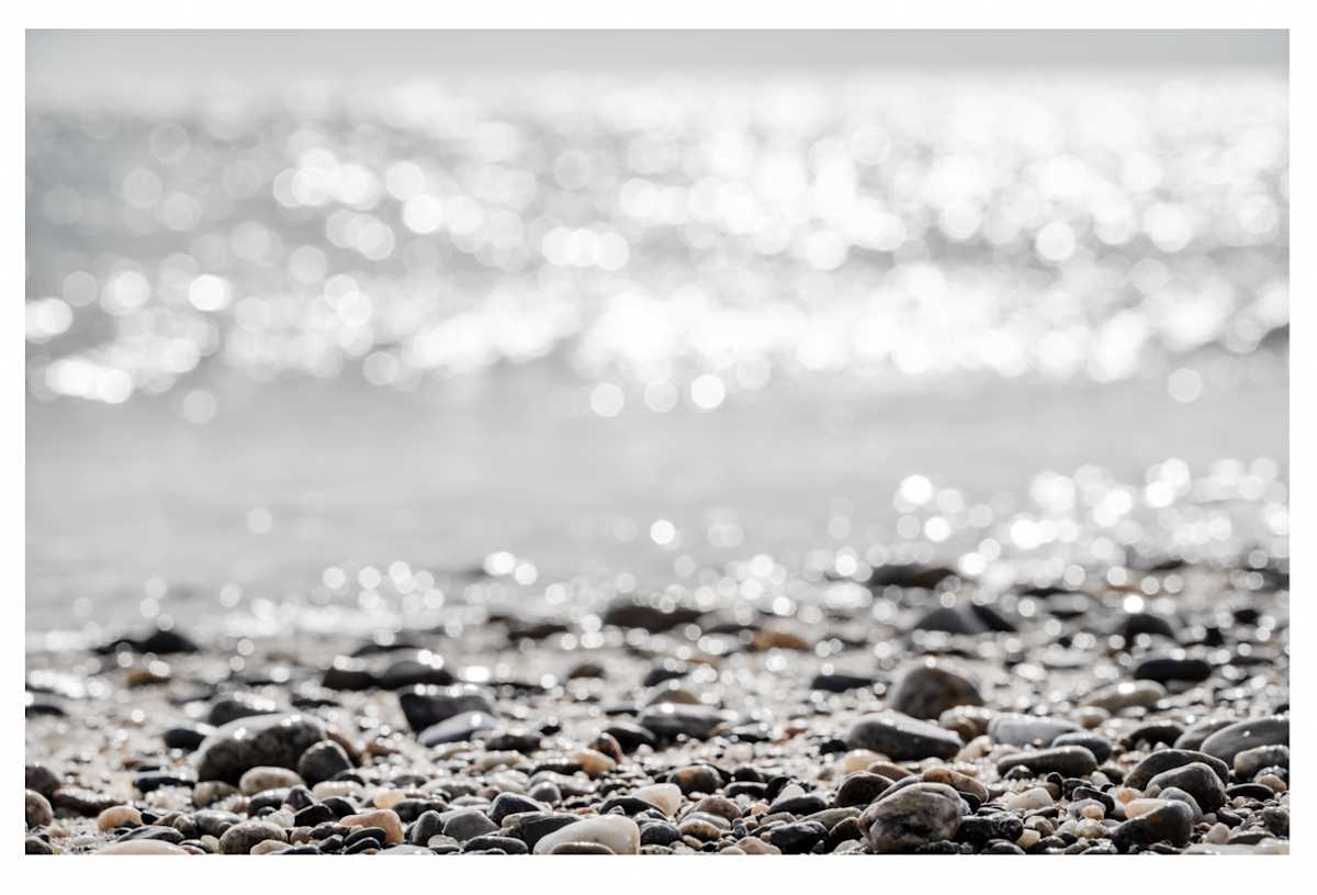 Tide Line by Artnova Gallery & Salt Studio, Image 1.
