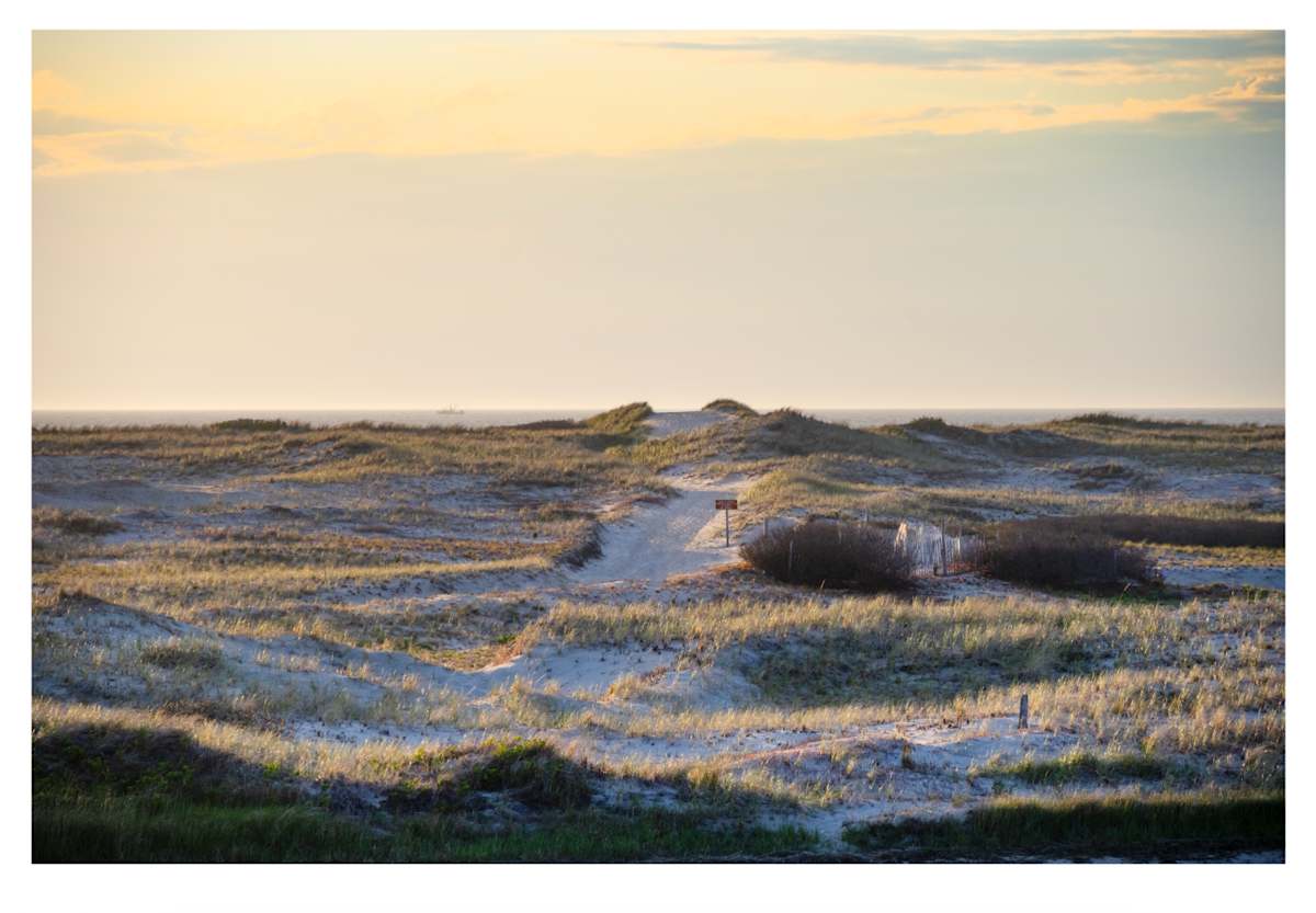 Spring Dunes at Race Point by Artnova Gallery & Salt Studio, Image 1.