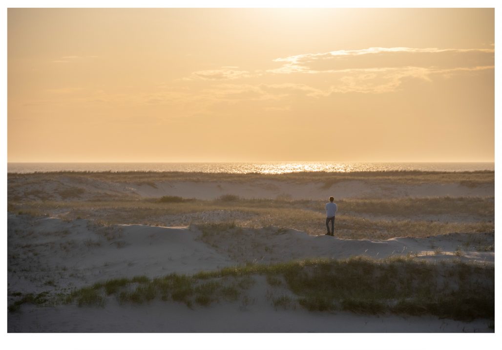 Wonderstruck by Artnova Gallery & Salt Studio, Image 1.