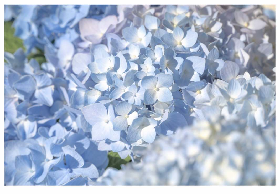 Summer Light by Artnova Gallery & Salt Studio, Image 1.