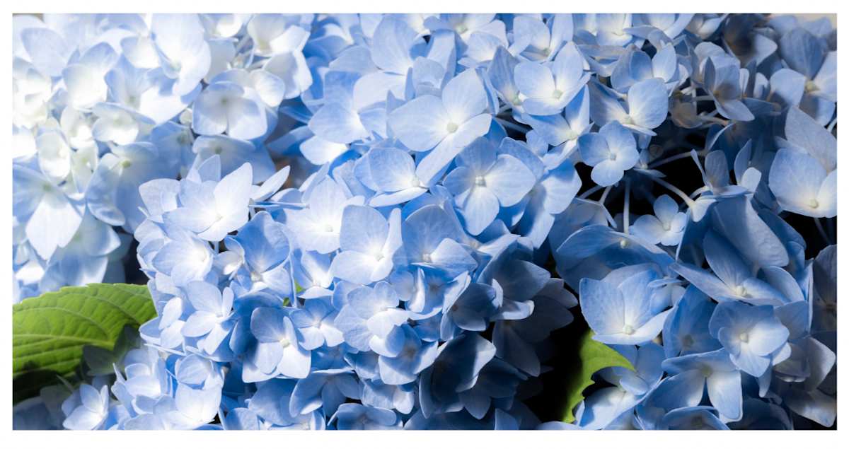 Early Summer by Artnova Gallery & Salt Studio, Image 1.