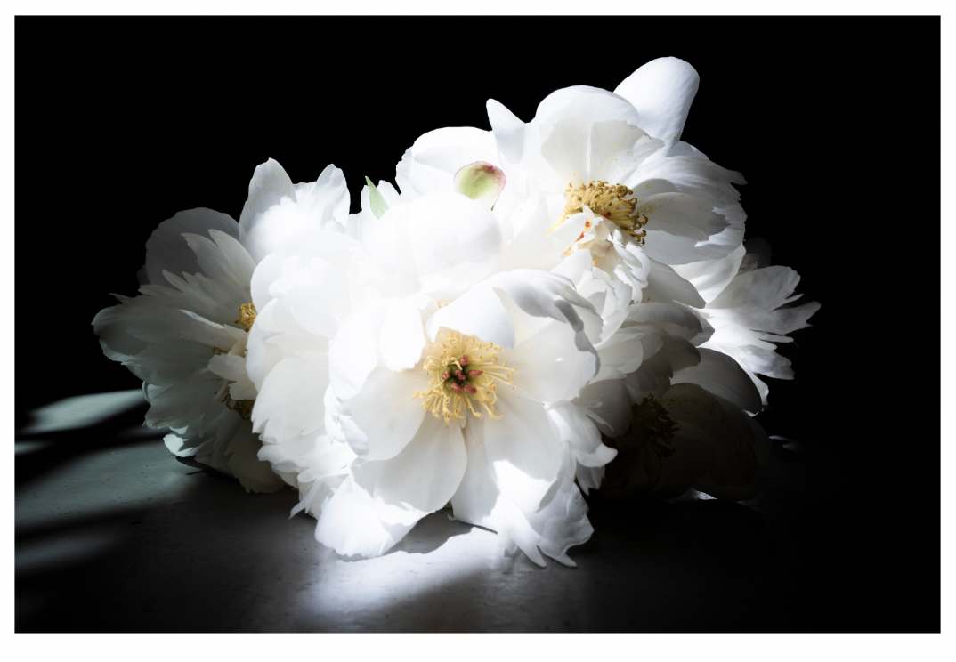 Spring Cabaret by Artnova Gallery & Salt Studio, Image 1.