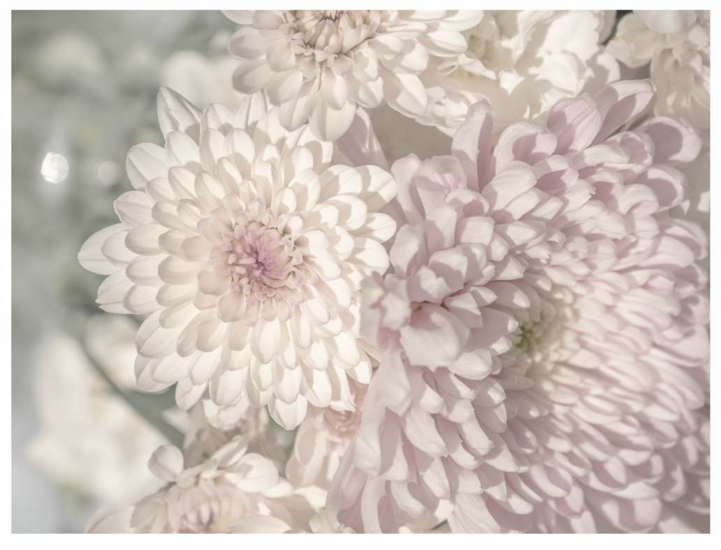 Gathering by Artnova Gallery & Salt Studio, Image 1.