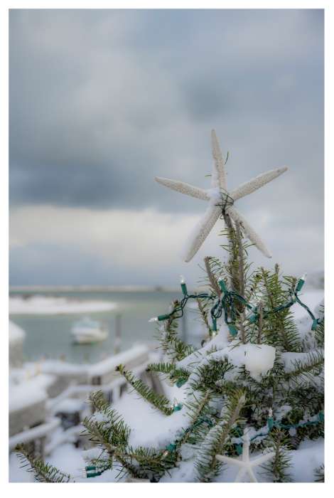 Christmas at the Fish Pier #2 by Artnova Gallery & Salt Studio, Image 1.