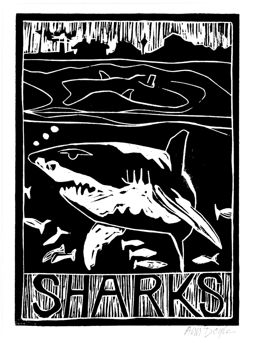 Sharks by Artnova Gallery 