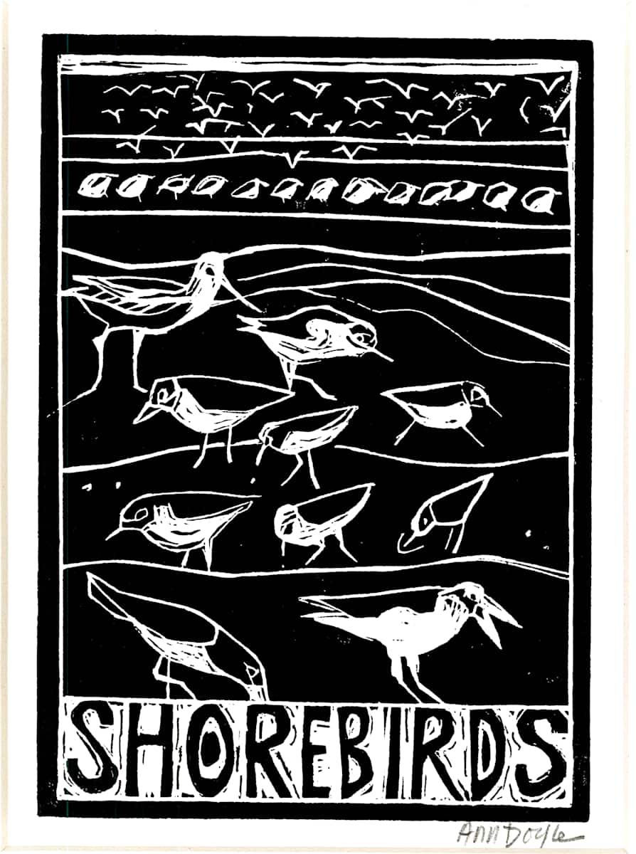 Shore birds by Artnova Gallery, Image 2.