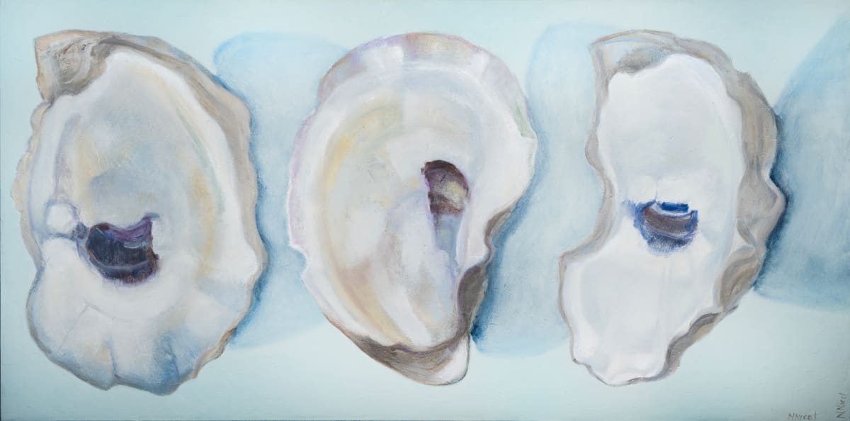 3 Wild Oyster Shells by Artnova Gallery 