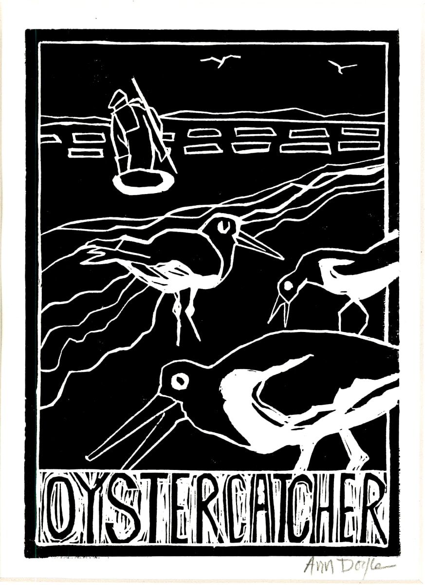 Oystercatcher by Artnova Gallery 