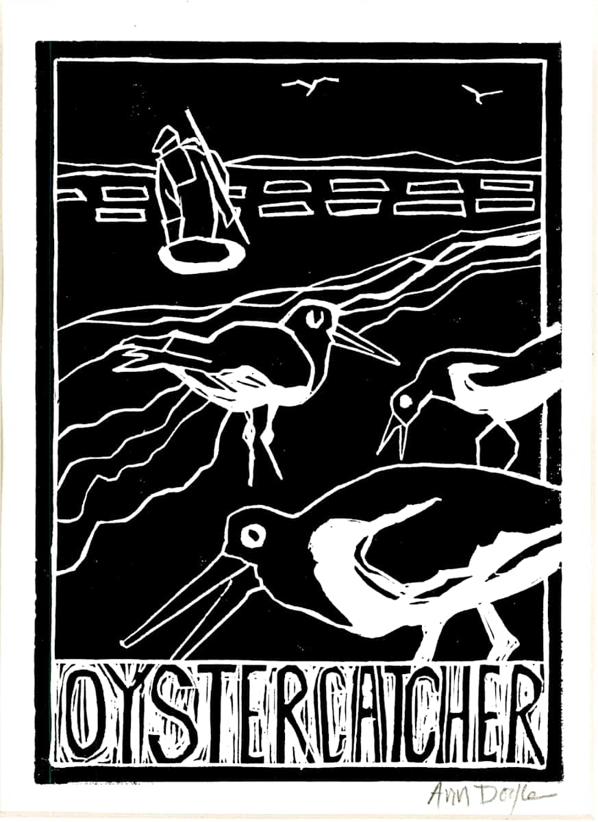Oystercatcher by Artnova Gallery, Image 2.