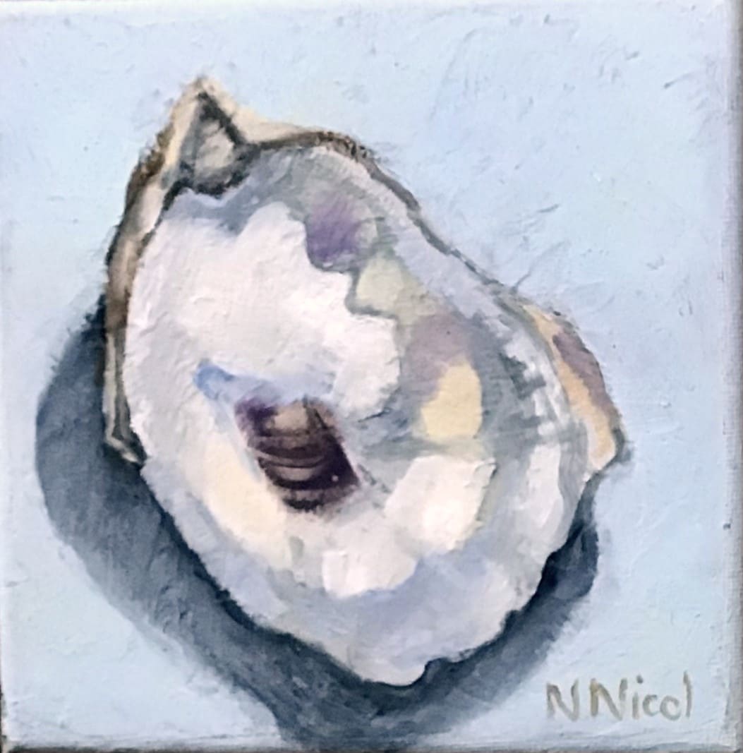 Single Shell by Artnova Gallery, Image 1.