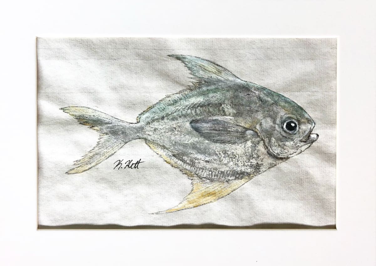 Harvestfish, Image 1.