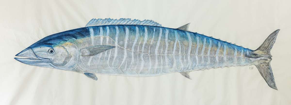 Wahoo by Kaylee Hettenbaugh, Image 1.