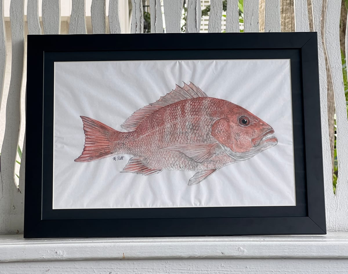 Red Snapper by Kaylee Hettenbaugh 