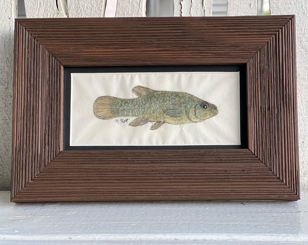 Mudminnow I by Kaylee Hettenbaugh 