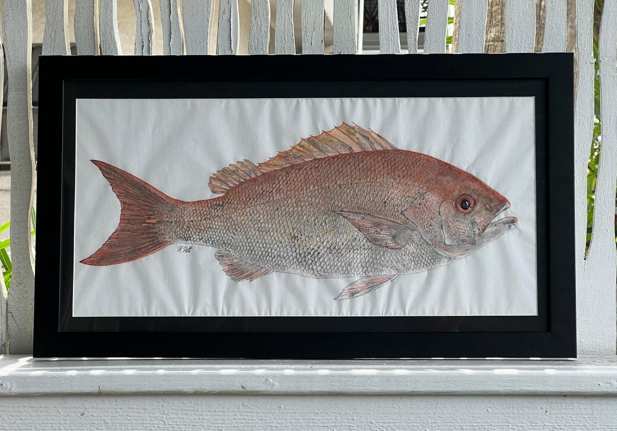 Vermilion Snapper I by Kaylee Hettenbaugh 