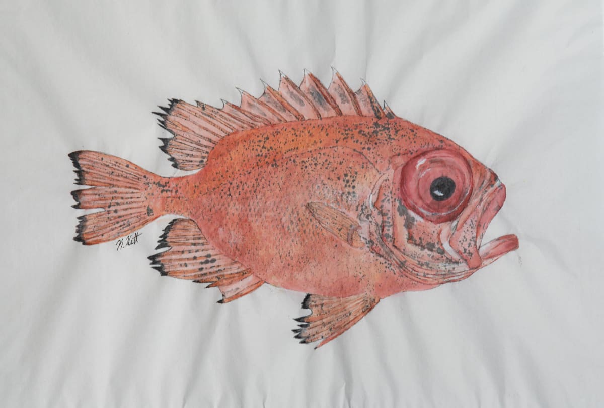 Big Eye Snapper by Kaylee Hettenbaugh, Image 2.