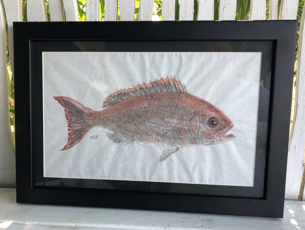Vermilion Snapper I, Image 1.