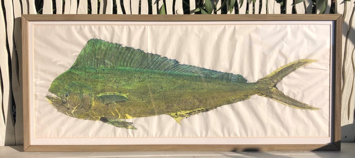 Mahi-Mahi 