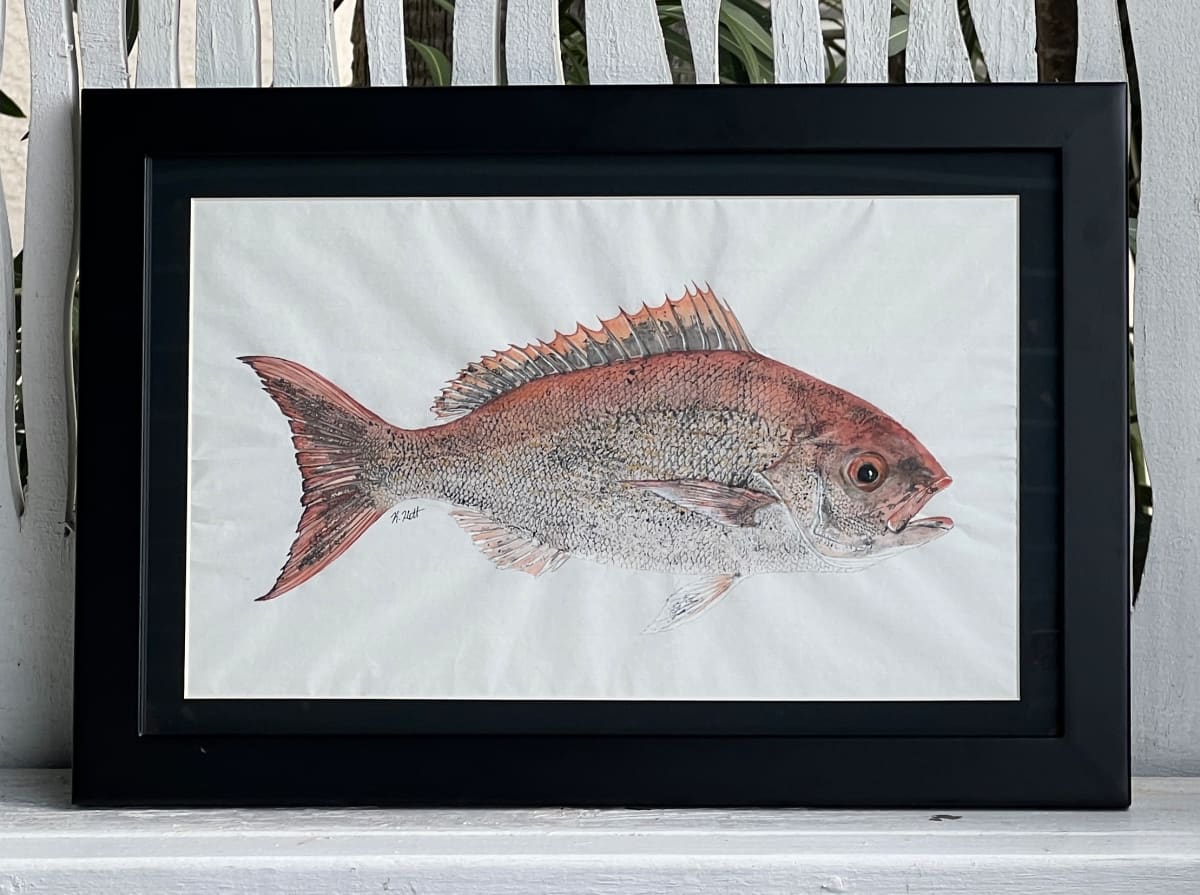 Vermilion Snapper by Kaylee Hettenbaugh 