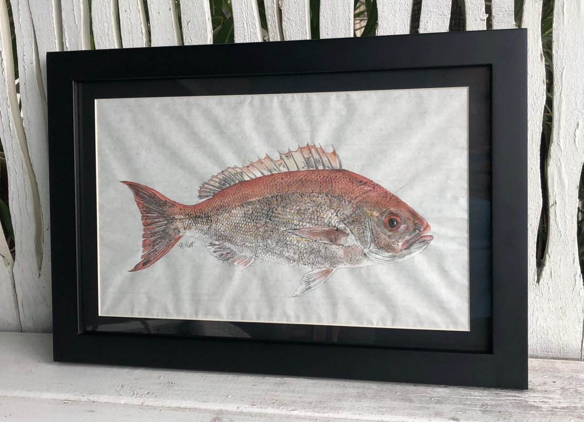 Vermilion Snapper II, Image 1.