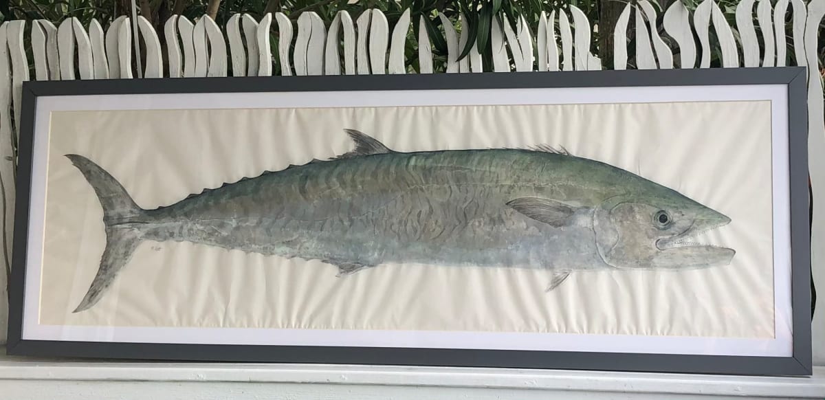 King Mackerel, Image 3.