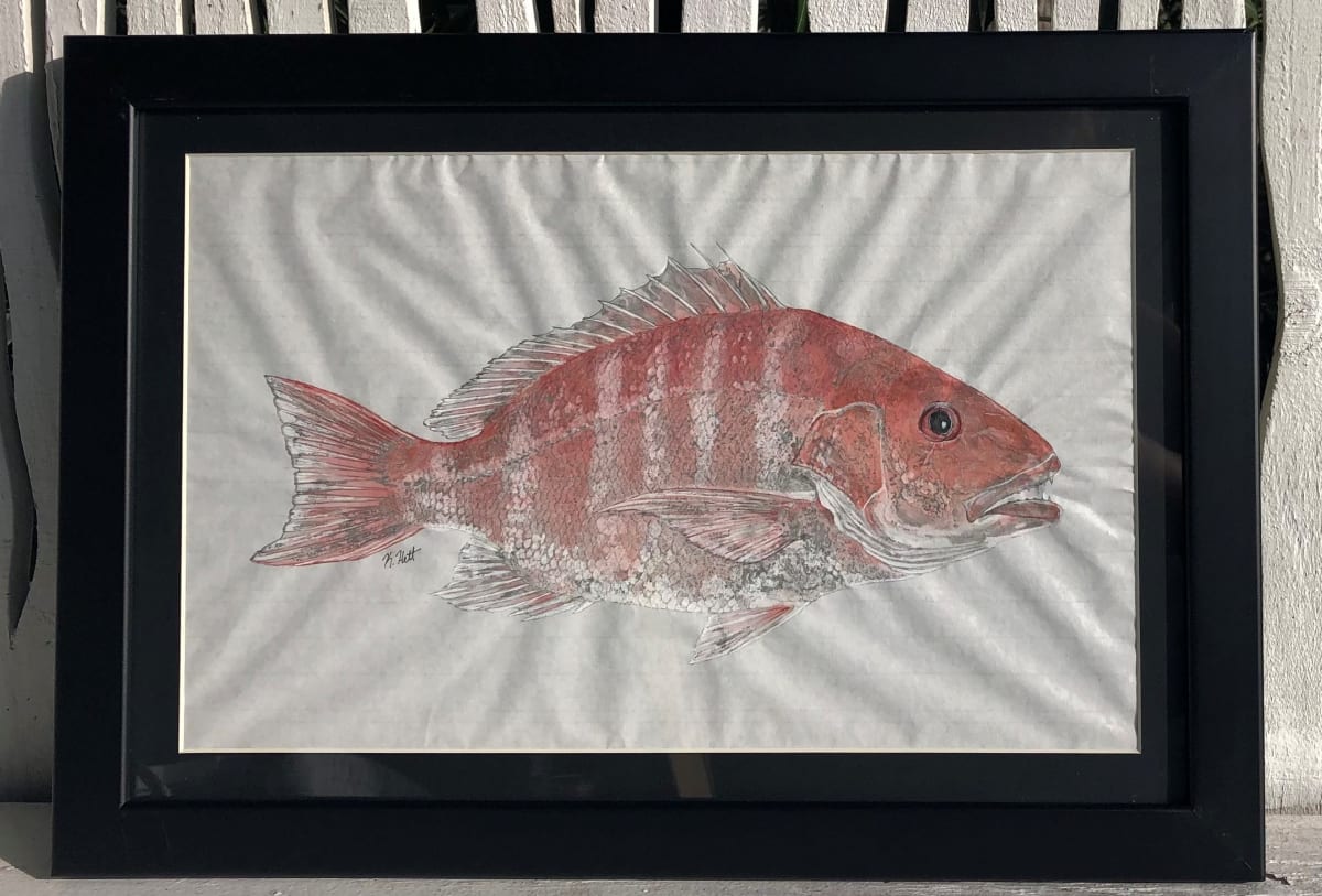 American Red Snapper II by Kaylee Hettenbaugh, Image 2.