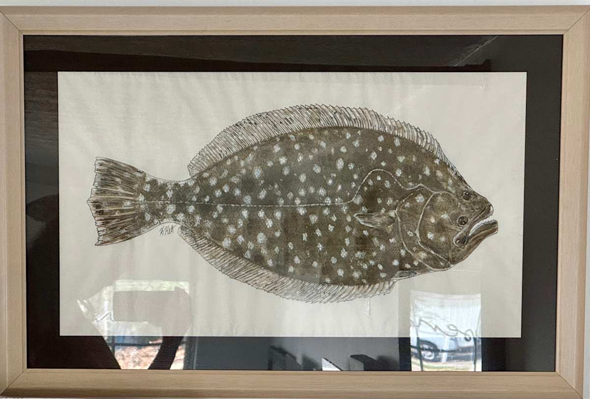 Southern Flounder by Kaylee Hettenbaugh 