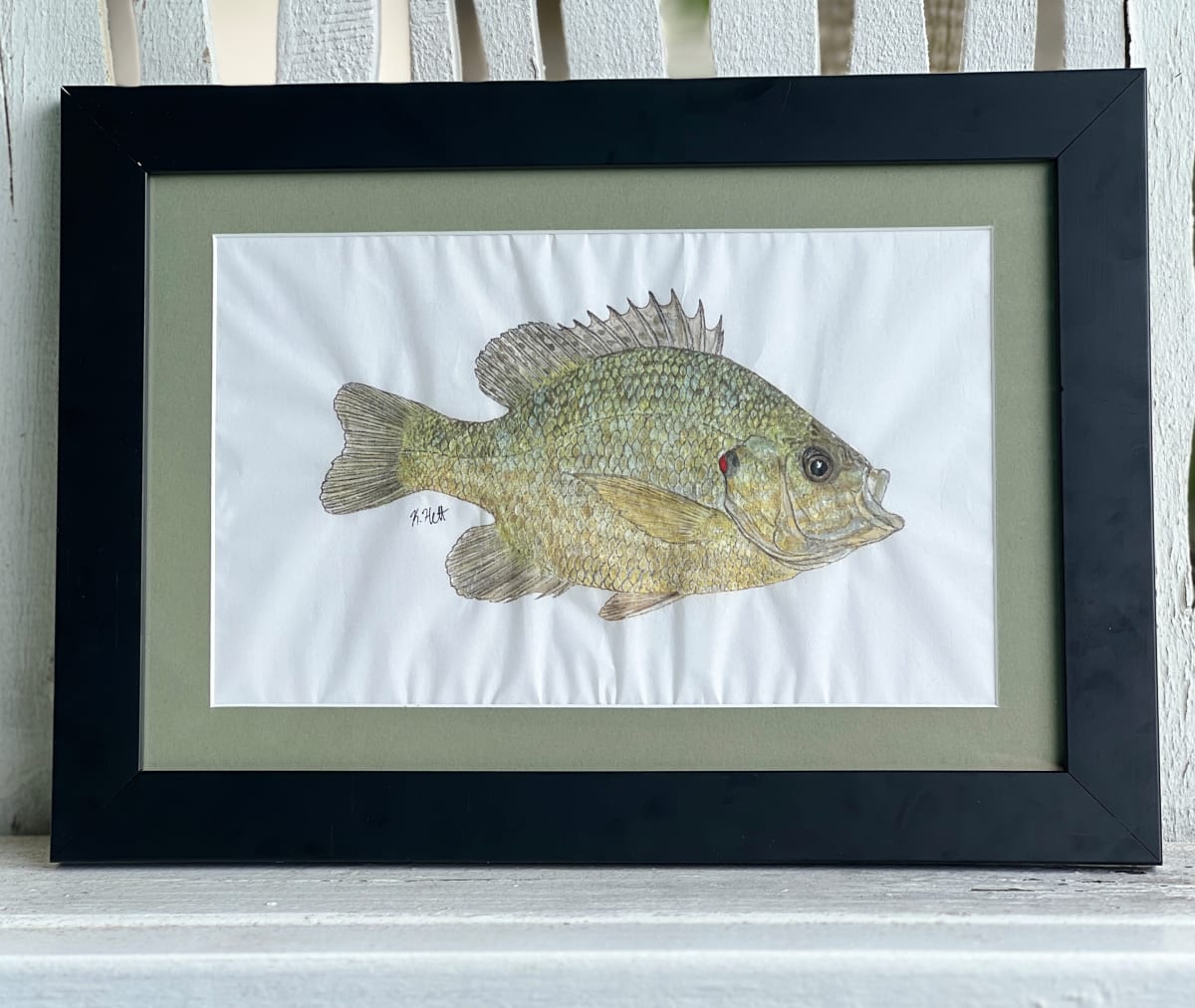 Pumpkinseed Sunfish II by Kaylee Hettenbaugh 