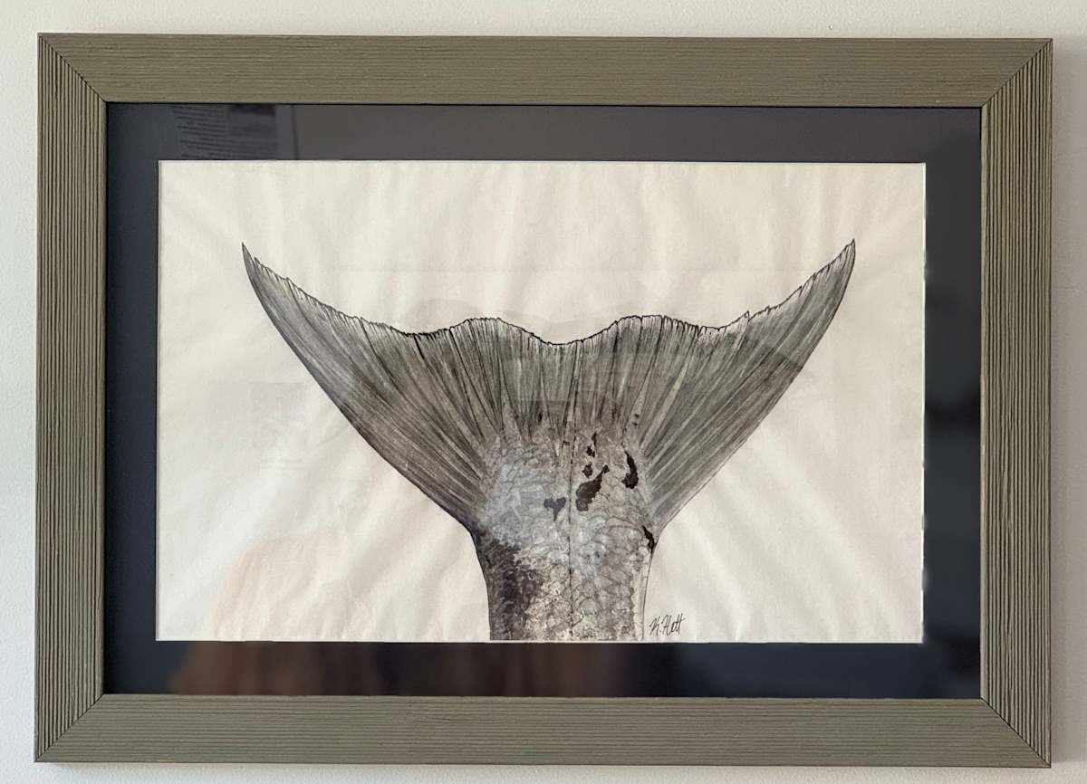 Barracuda Tail I by Kaylee Hettenbaugh 