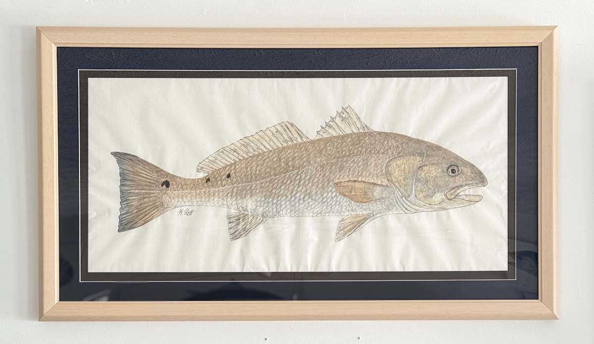 Redfish I by Kaylee Hettenbaugh, Image 1.