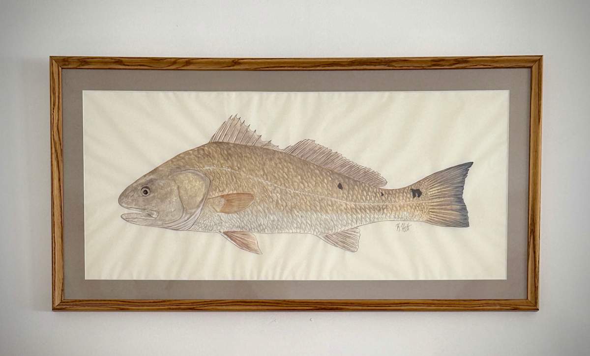 Redfish III by Kaylee Hettenbaugh 