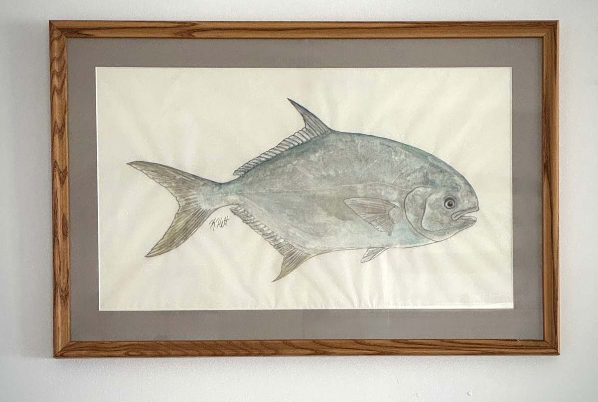 Florida Pompano by Kaylee Hettenbaugh 