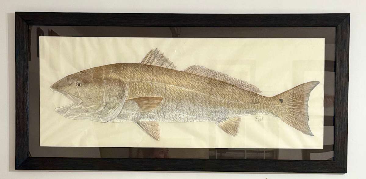 Bull Redfish by Kaylee Hettenbaugh, Image 1.