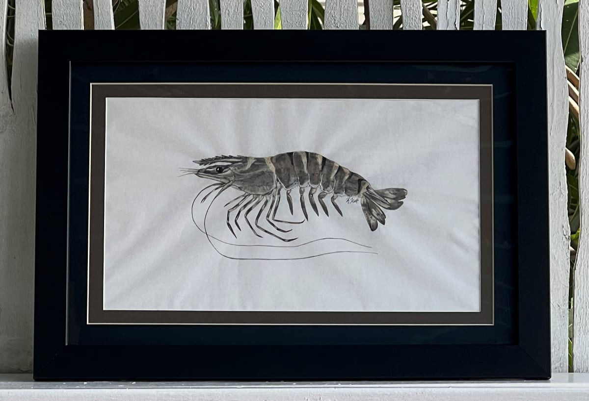 Black Tiger Prawn, Image 1.