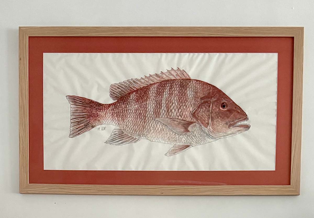 American Red Snapper by Kaylee Hettenbaugh, Image 1.
