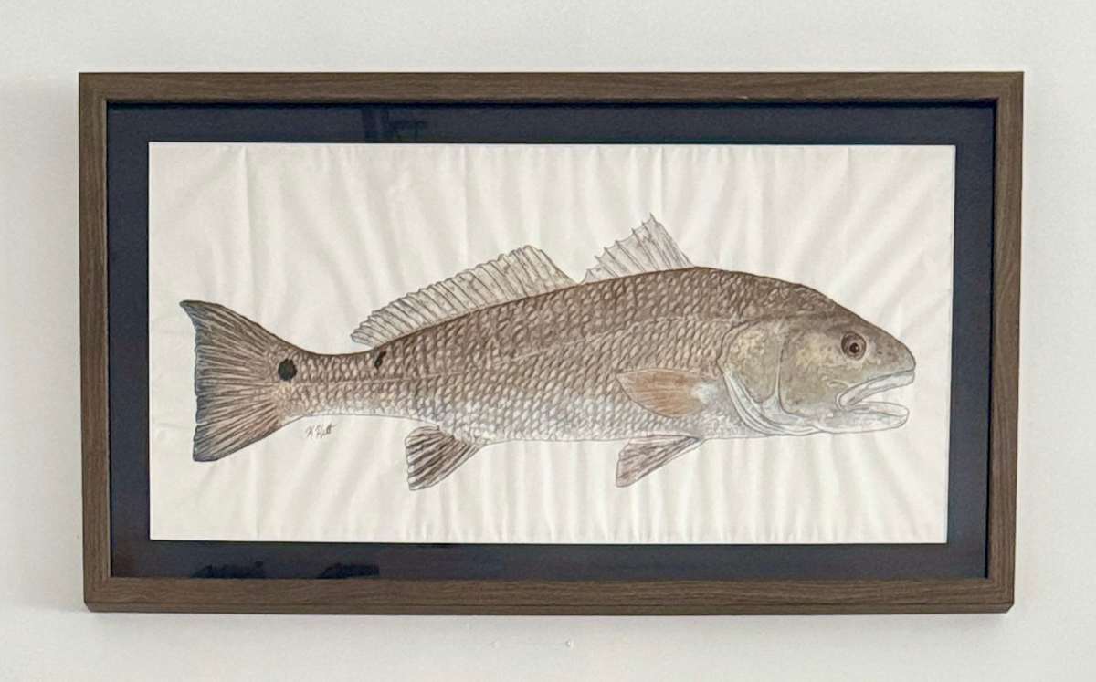 Redfish by Kaylee Hettenbaugh 