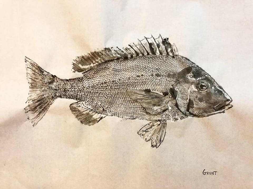 Pig Fish I, Image 1.