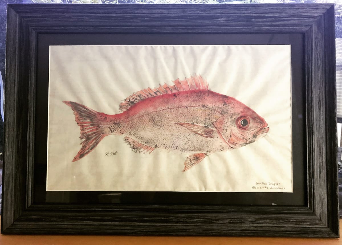 Vermilion Snapper by Kaylee Hettenbaugh, Image 1.