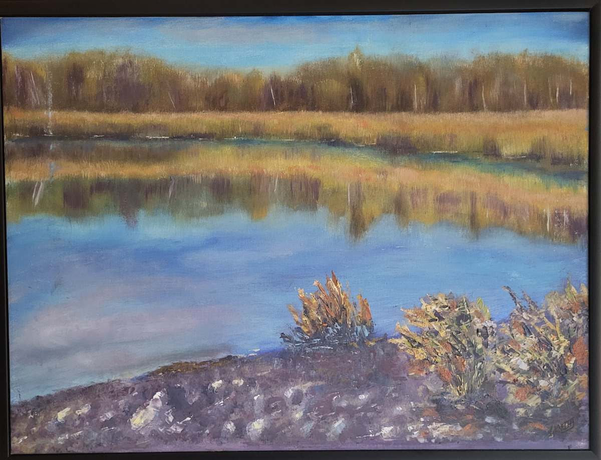 Wetlands at Fossil Beach -Brighton by Gail Knecht 