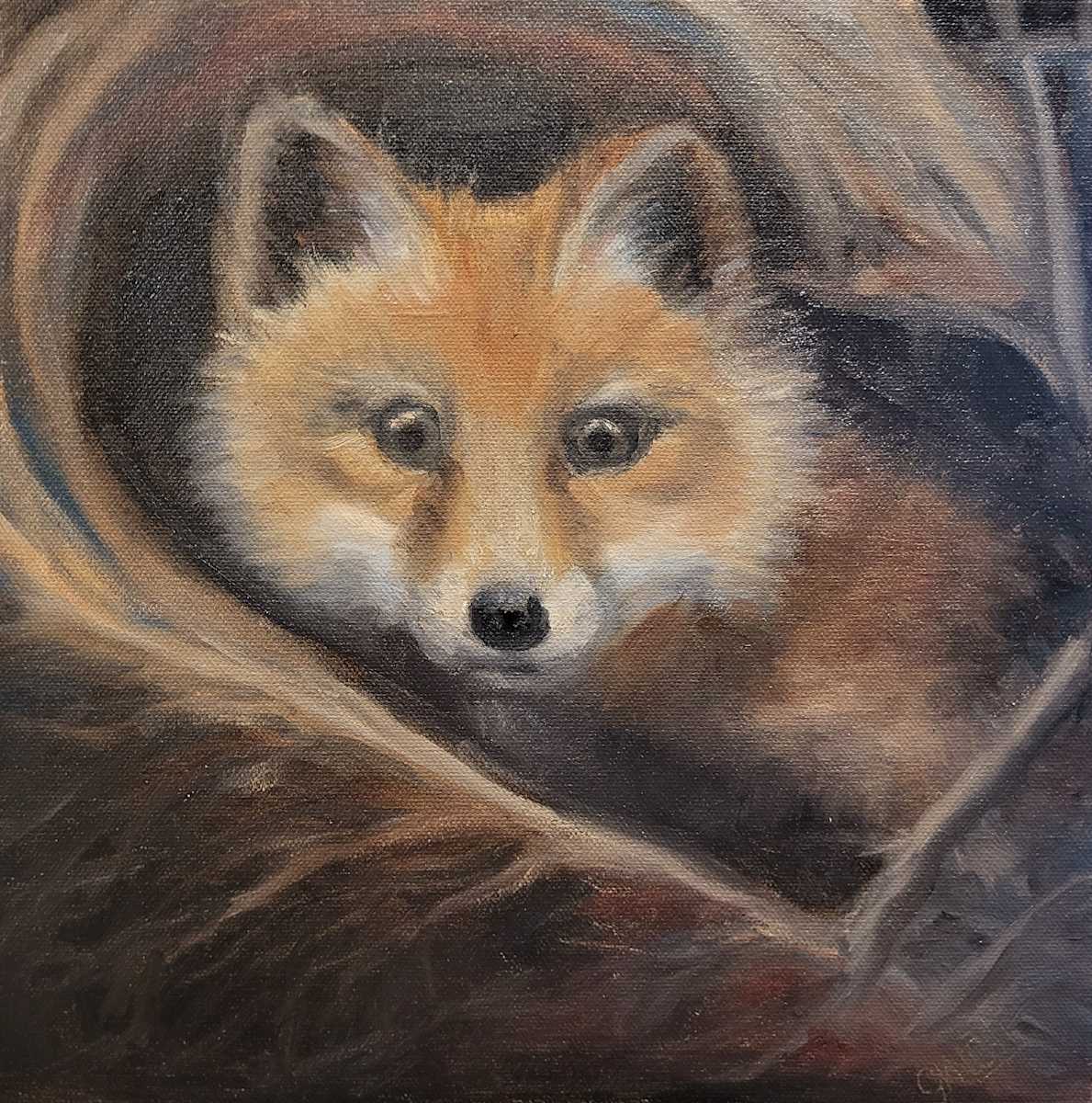Freddy the Fox by Gail Knecht 