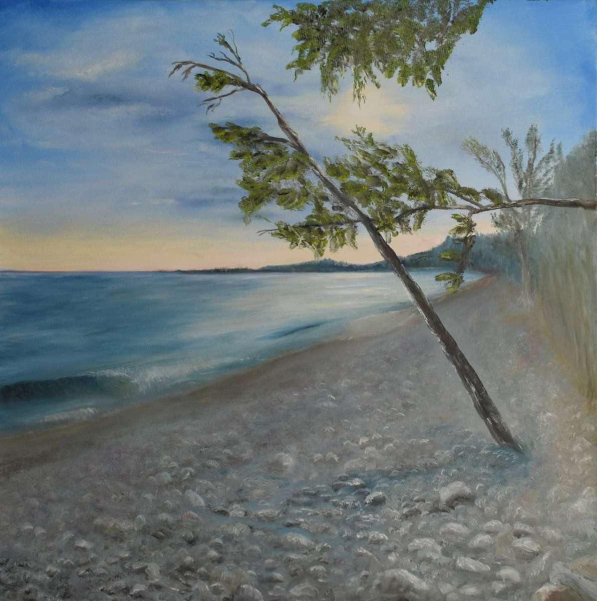 Fossil Beach- Brighton by Gail Knecht  Image: Fossil Beach - Brighton, Ontario - Lake Ontario Shoreline.