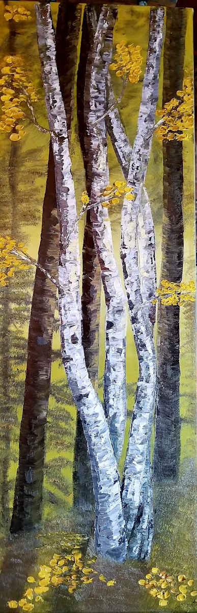View from the Loo.. Birch Trees at the Glen by Gail Knecht  Image: Fall Morning Sunrise at the Glen
