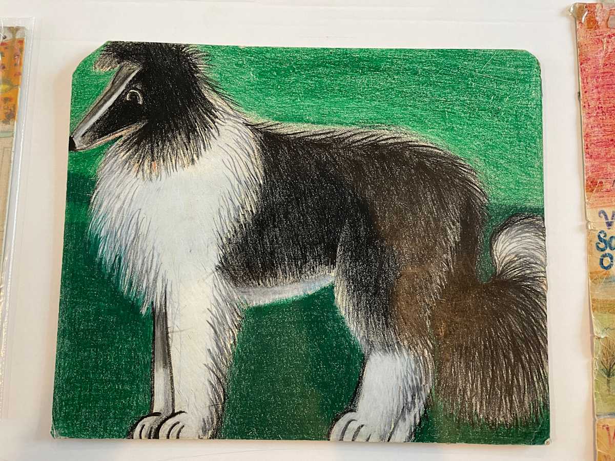 Sheppi Lassie by Gayleen Aiken 