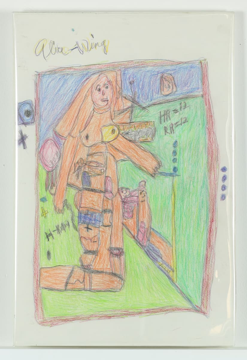 Untitled by Alice Wing 