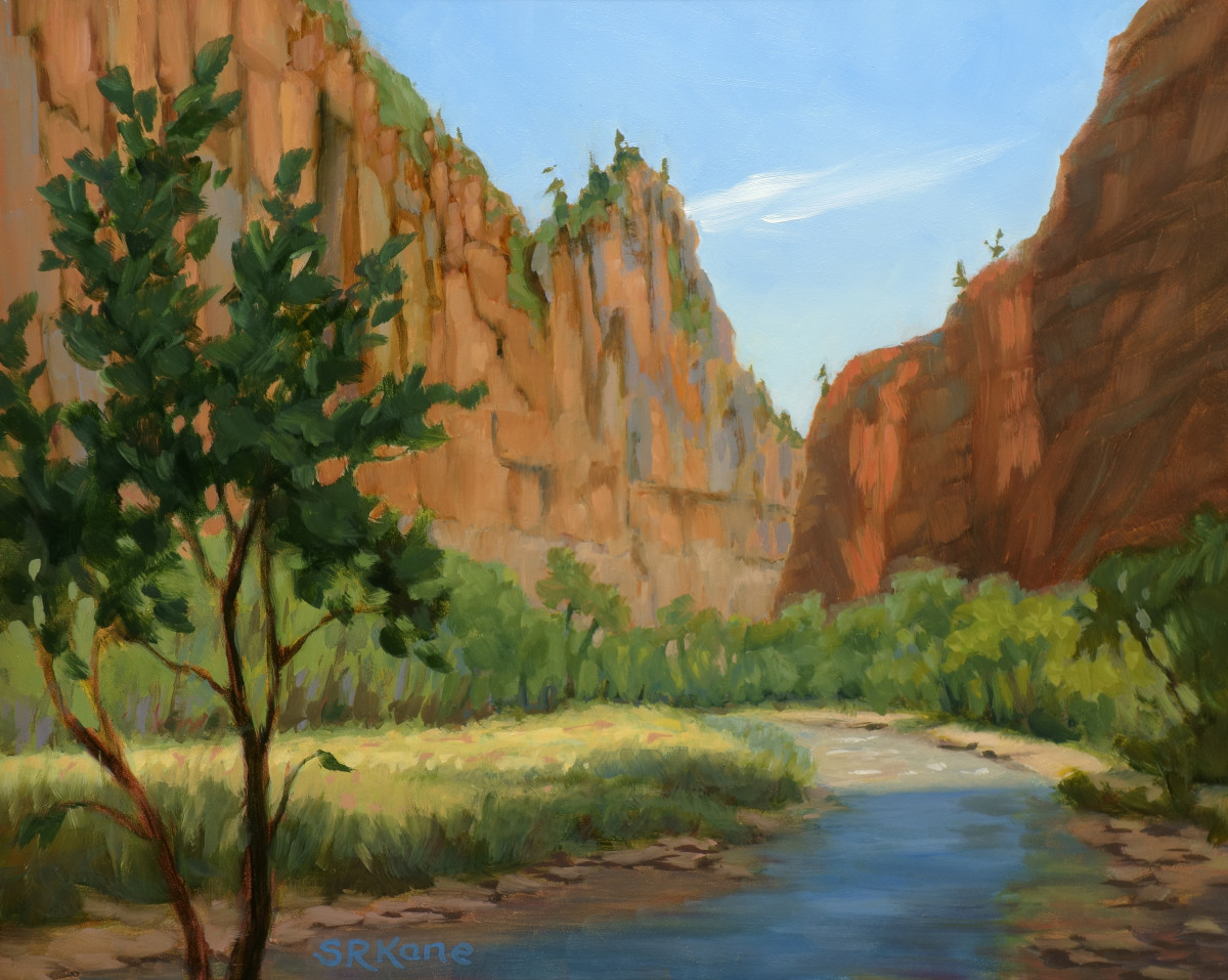 A Peak Experience by Sonia Kane 