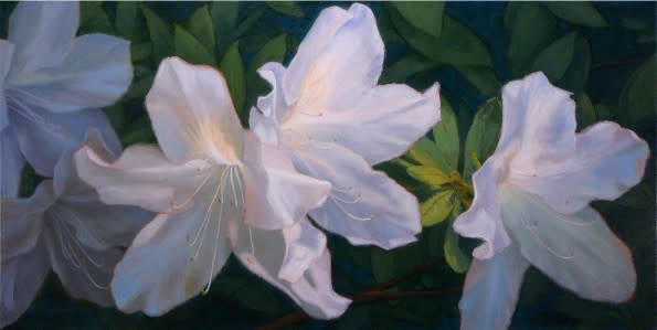Azalea Glow VII by Sonia Kane 