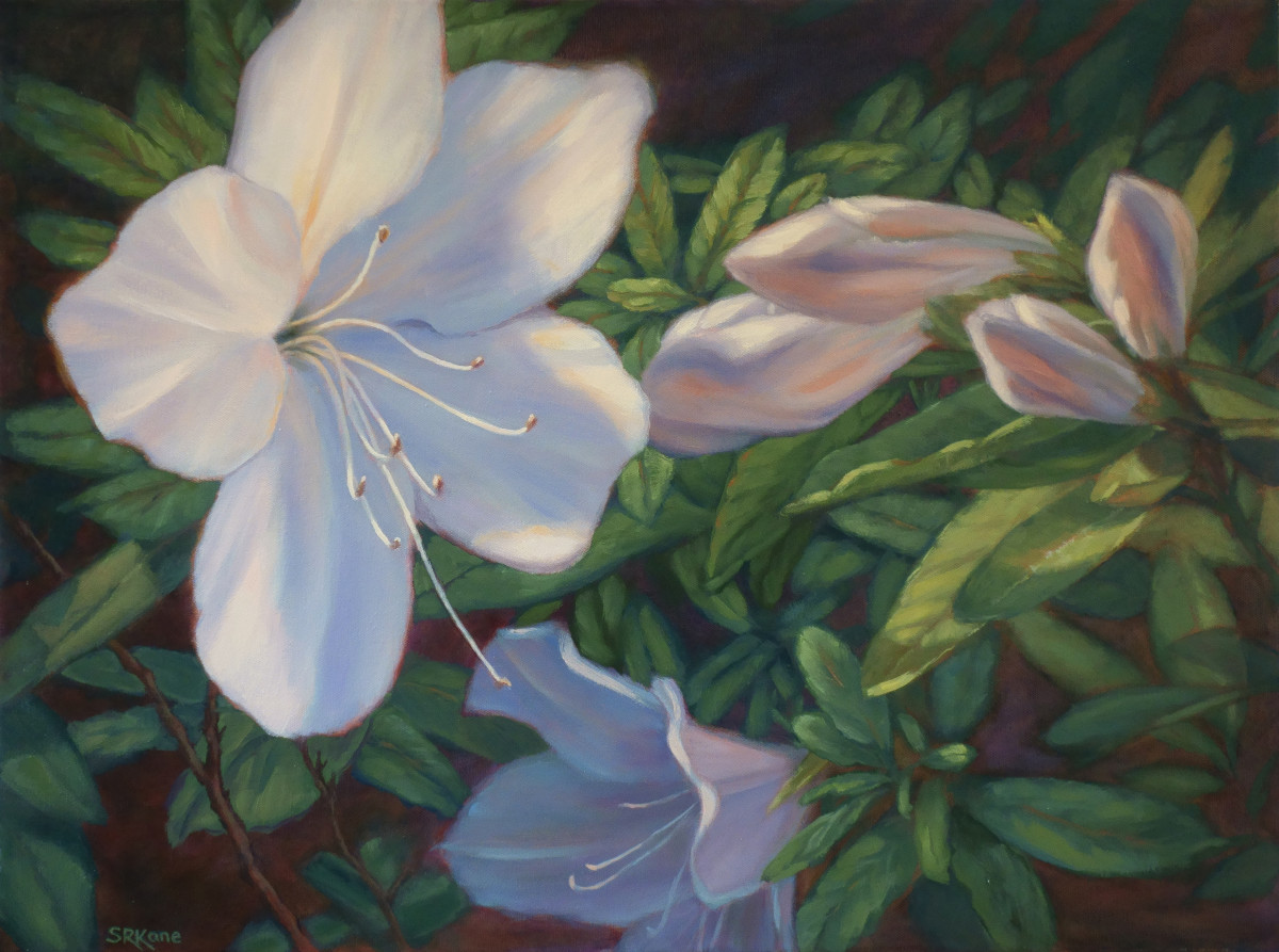 Azalea Glow VI by Sonia Kane 