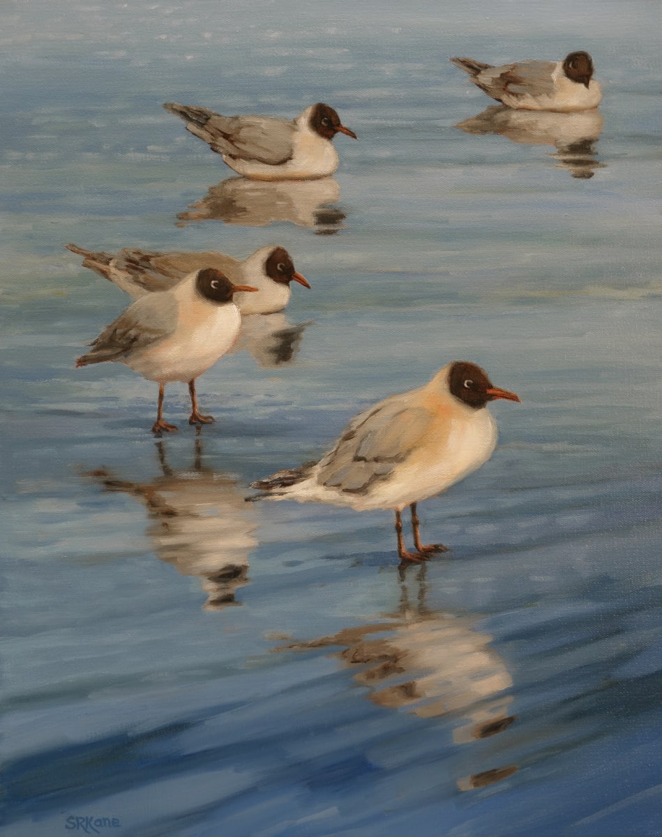 Bird Bath by Sonia Kane 