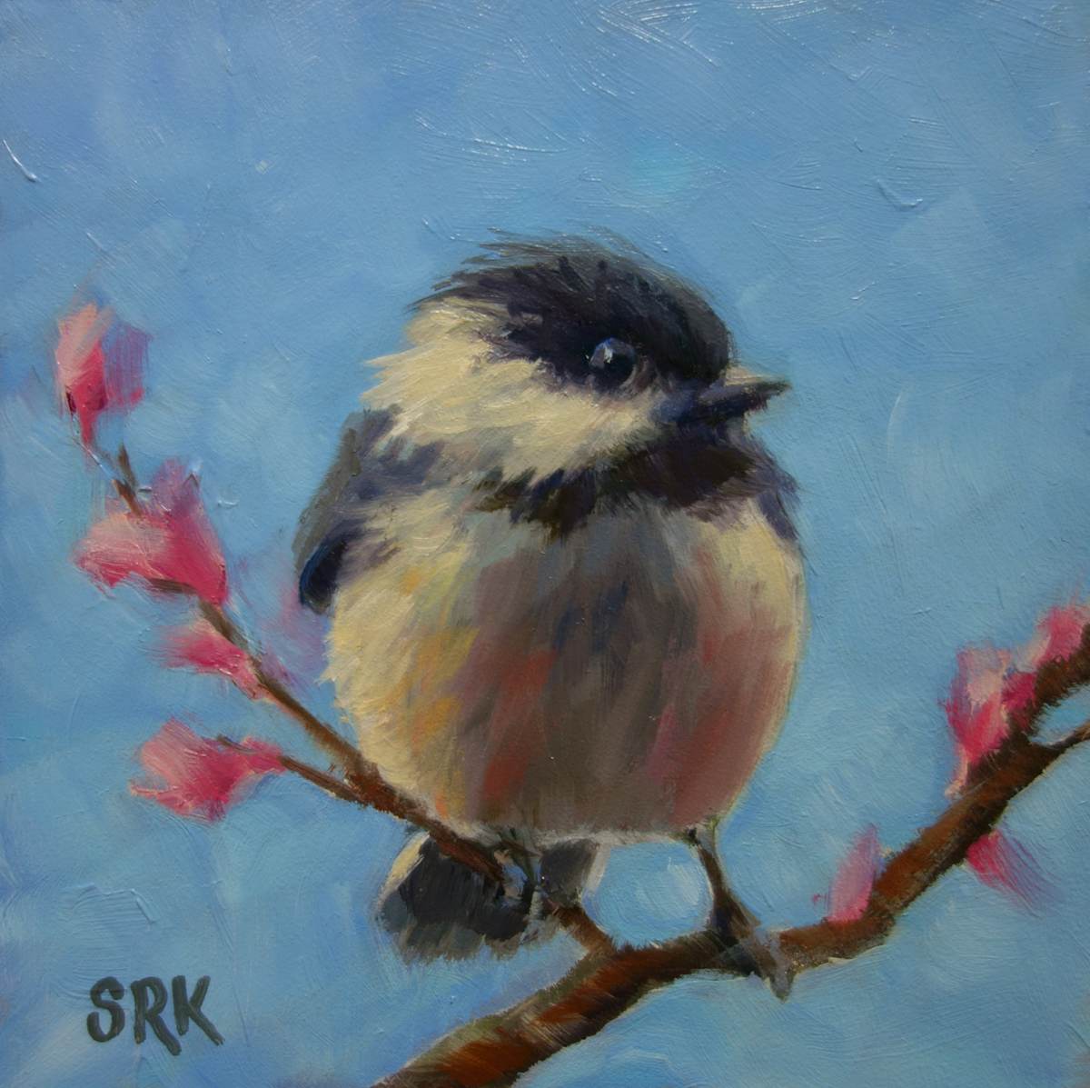 Blackcapped Chickadee 1, Image 1.